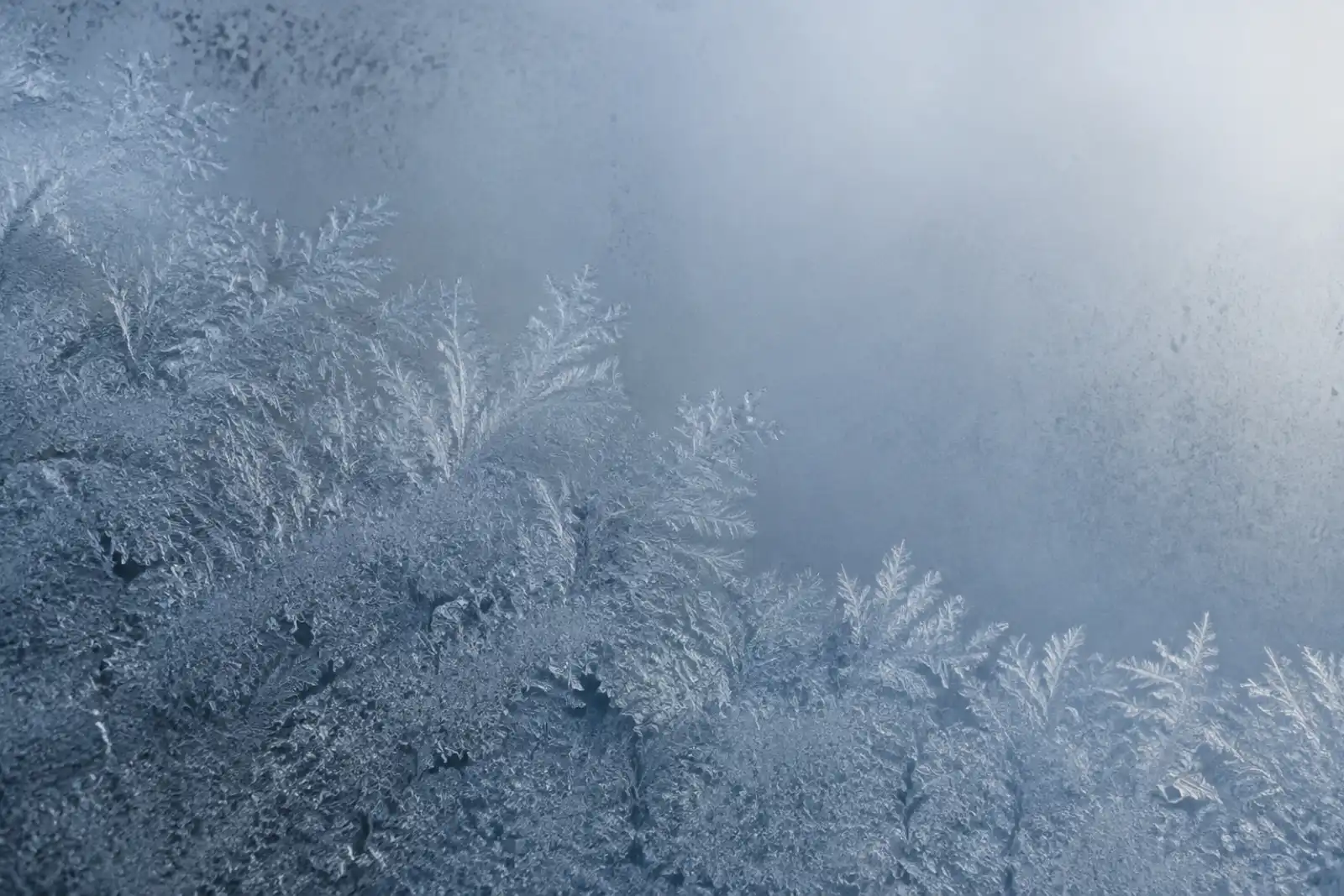 Frost patterns forming across a cold window pane in low winter light.