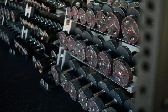 A neat row of dumbbells resting on a rack in a modern gym.