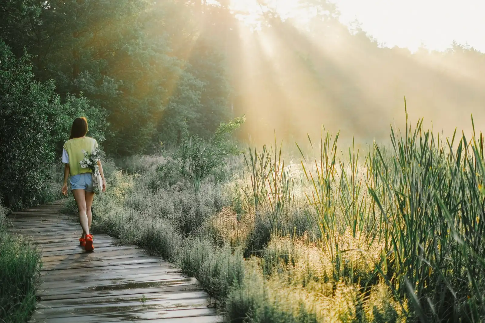 A woman walking a sunlit boardwalk path.