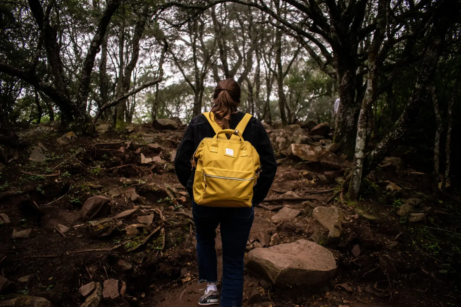 A person hiking along a forest trail surrounded by trees and rock.